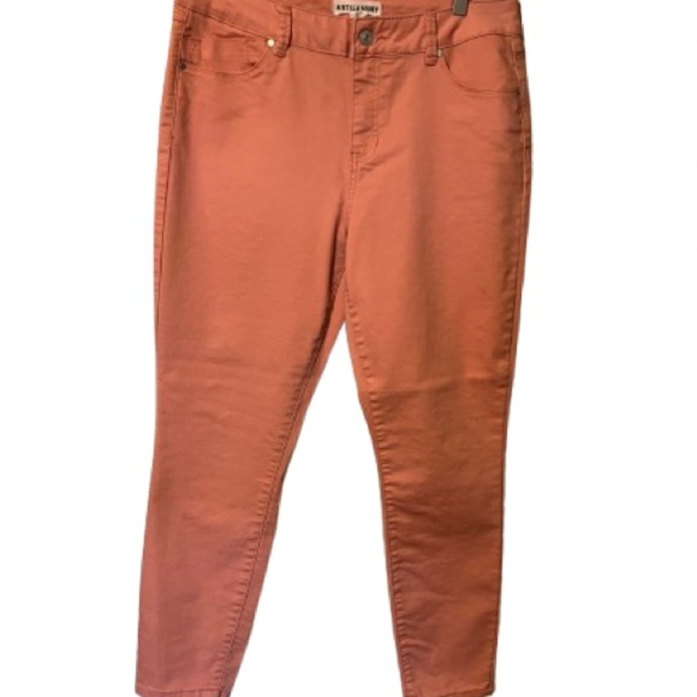 Artisan Ny  Pants